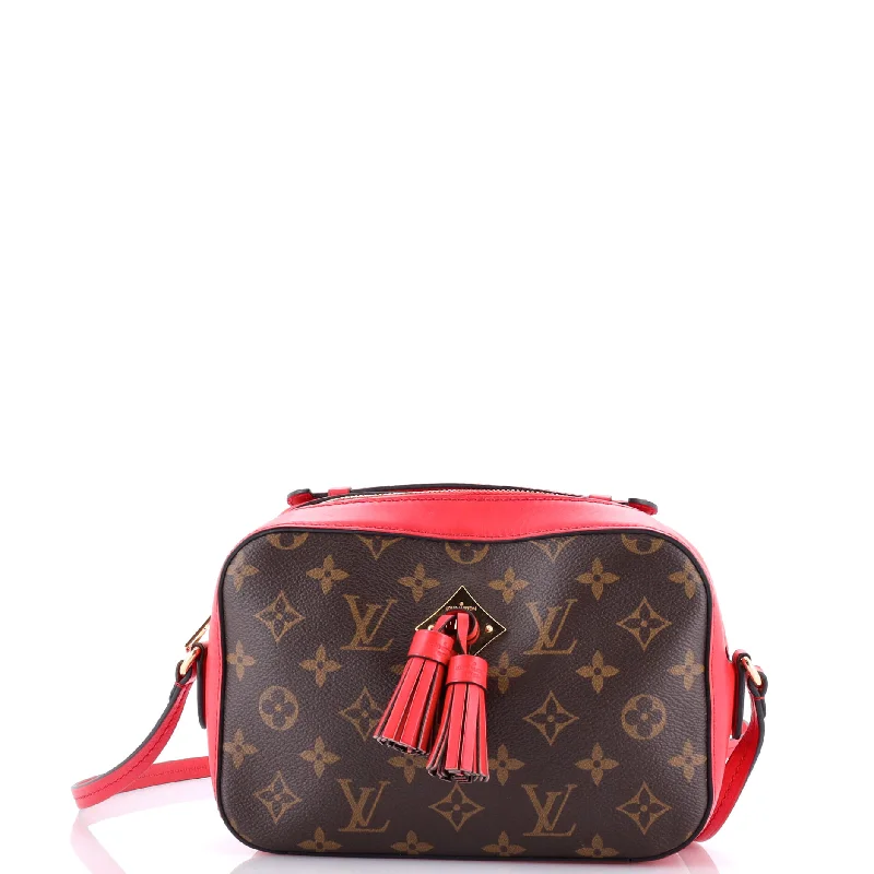 Saintonge Handbag Monogram Canvas with Leather