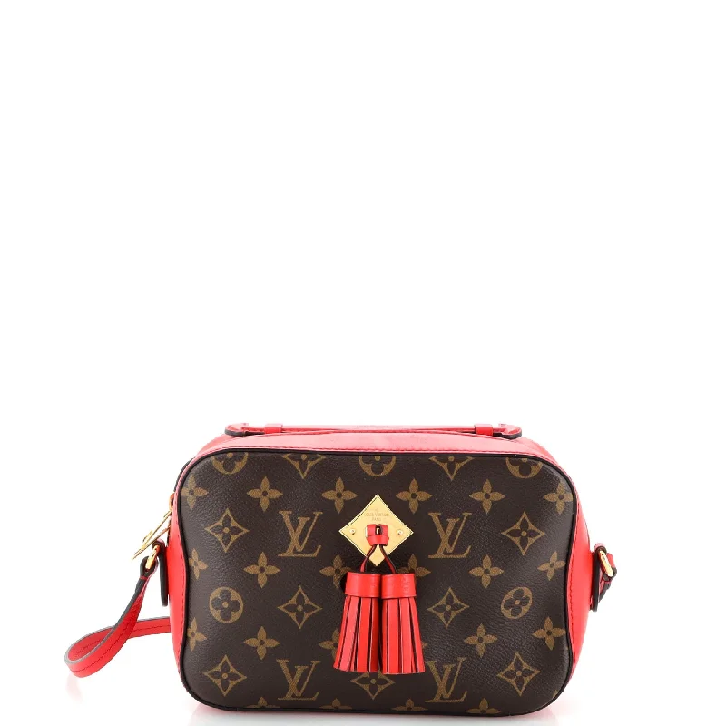 Saintonge Handbag Monogram Canvas with Leather